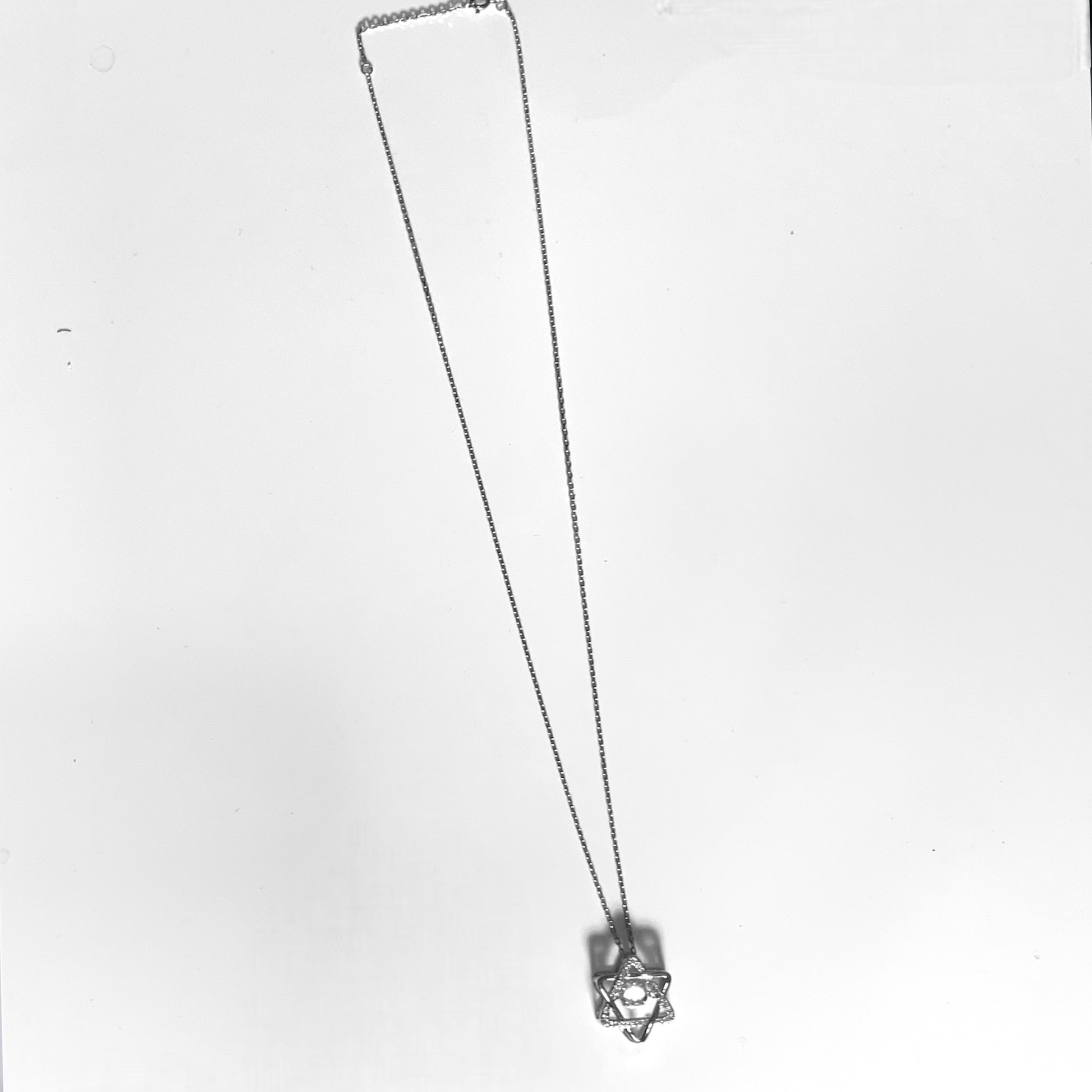 a black and white photo of a necklace