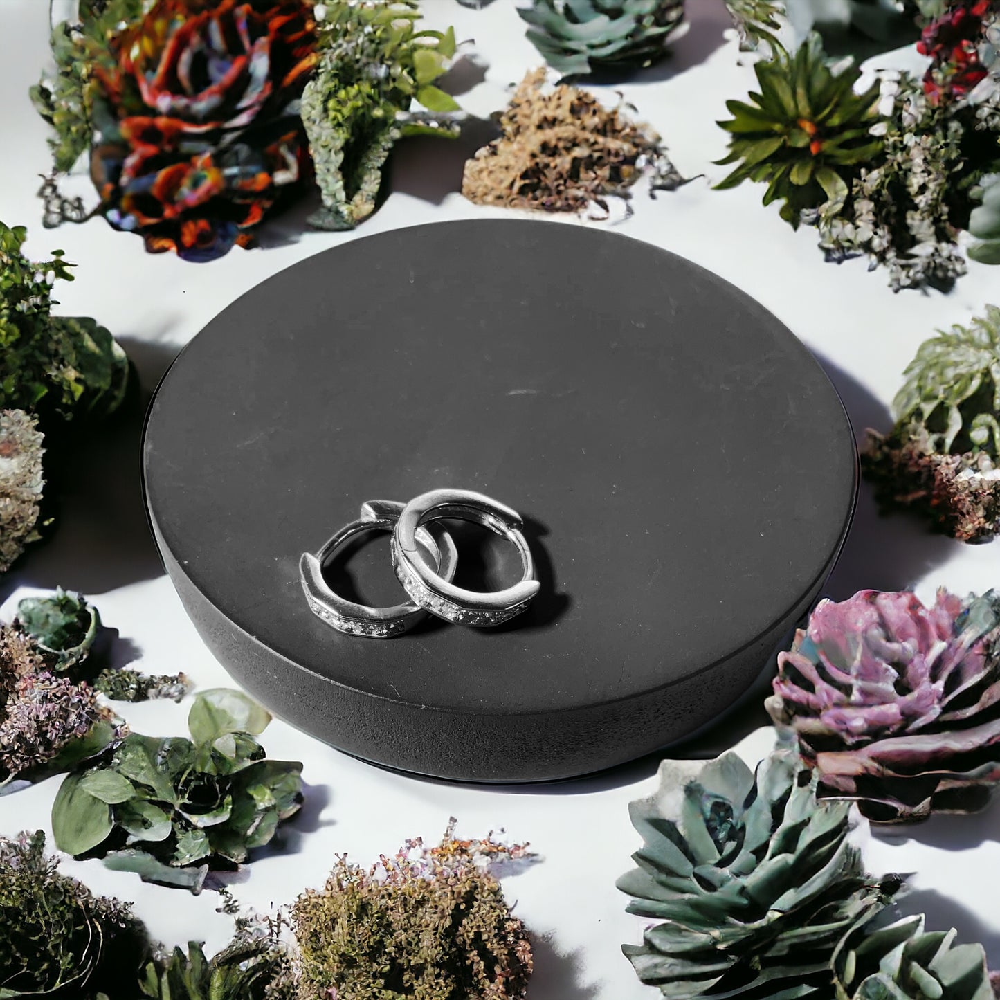 a couple of rings sitting on top of a black box surrounded by succulent